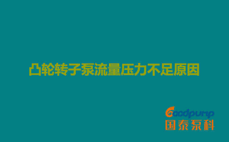 凸轮转子泵流量压力不足原因