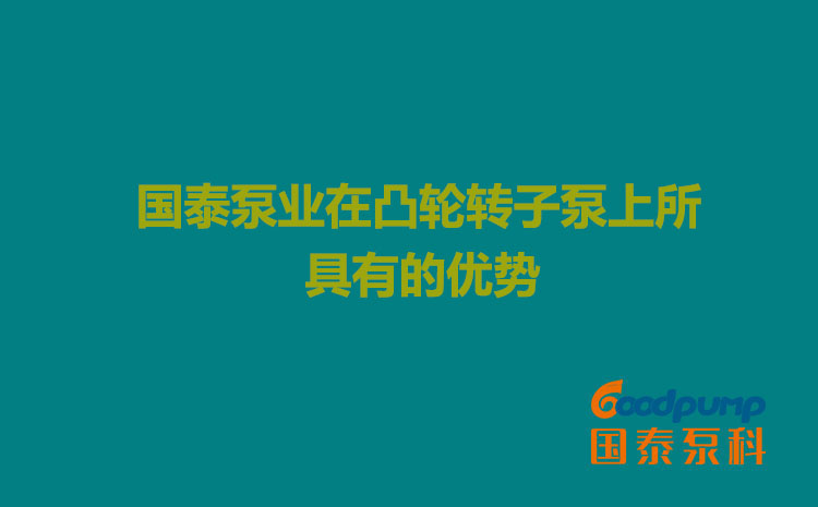 国泰泵业在凸轮转子泵上所具有的优势