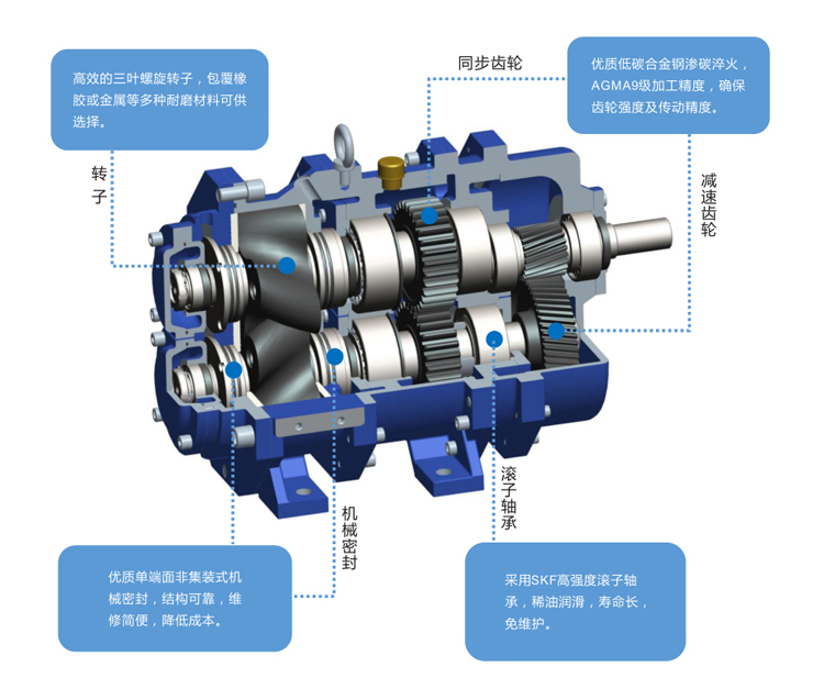 GS/DR系列凸轮转子泵结构图