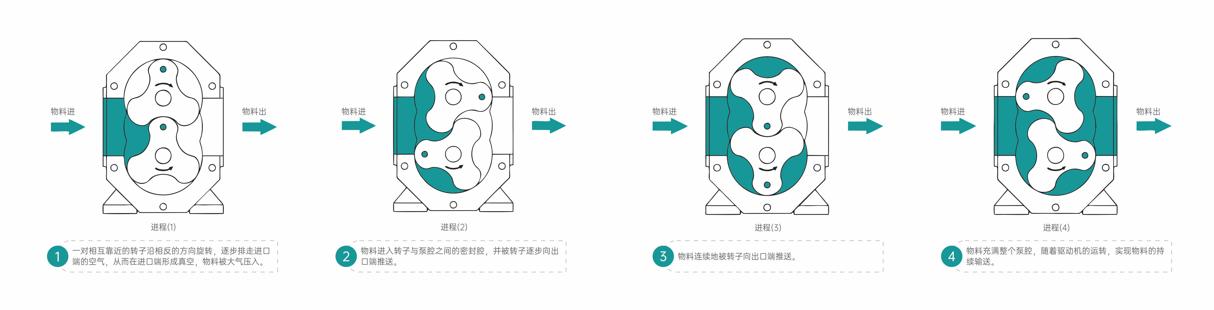 凸轮转子泵工作原理