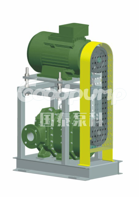 国泰转子泵安装方式