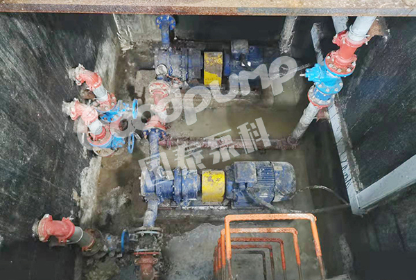 国泰转子泵在污水处理厂中的应用